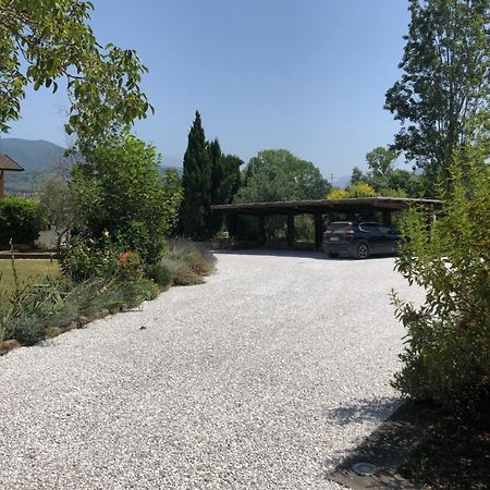 Casa "Le Rondinelle" Villa Montignoso Bagian luar foto