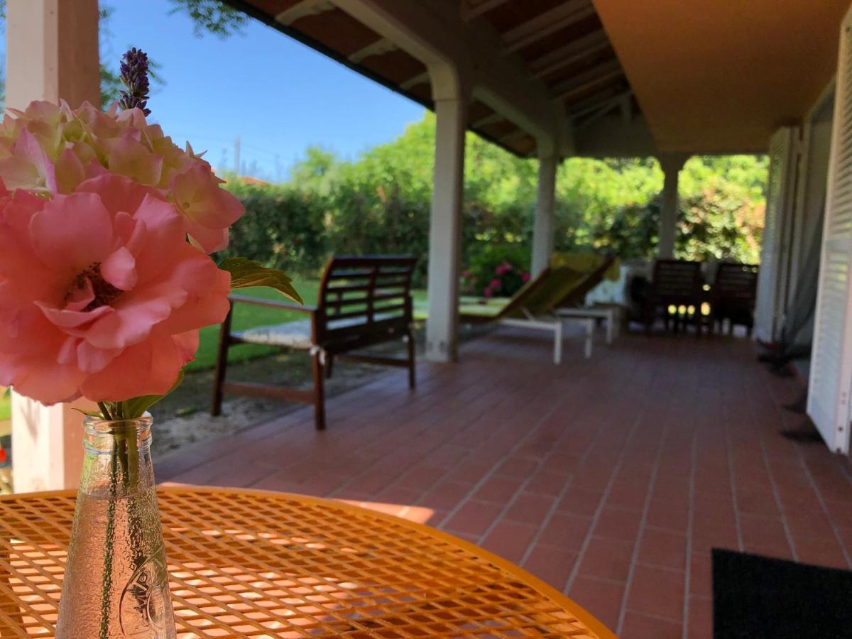 Casa "Le Rondinelle" Villa Montignoso Bagian luar foto