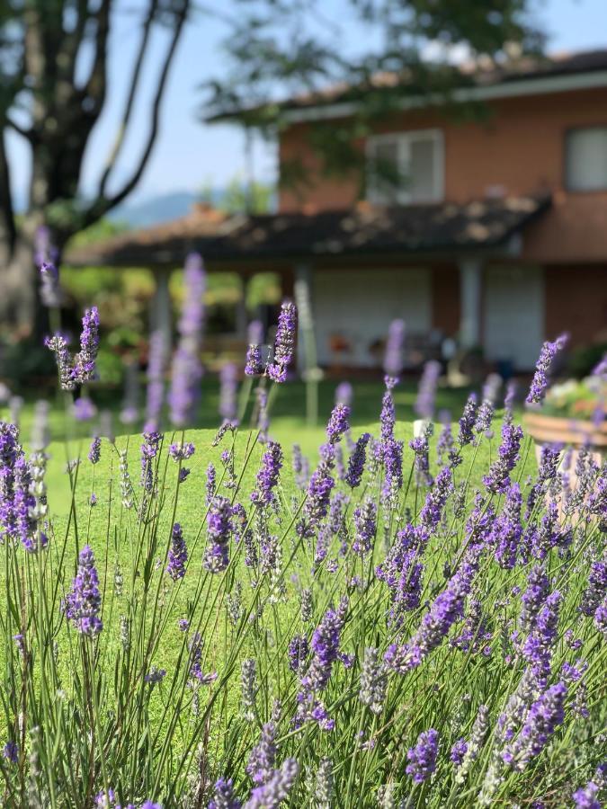 Casa "Le Rondinelle" Villa Montignoso Bagian luar foto