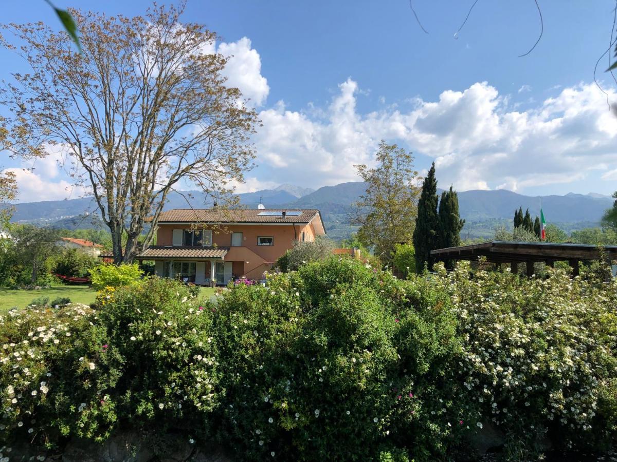 Casa "Le Rondinelle" Villa Montignoso Bagian luar foto