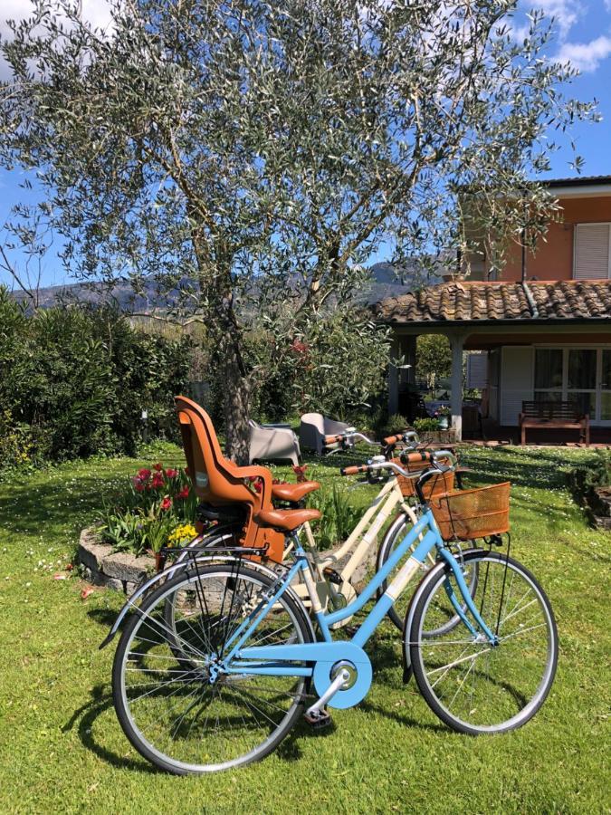 Casa "Le Rondinelle" Villa Montignoso Bagian luar foto